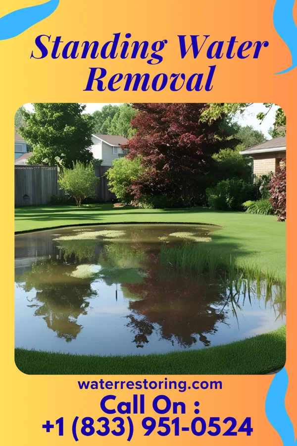 Standing Water Removal in West Haverstraw, NY